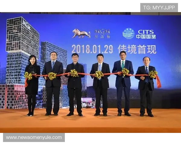 澳门美狮美高梅娱乐场的会员制度与积分奖励机制详解，提升您的尊贵体验感受